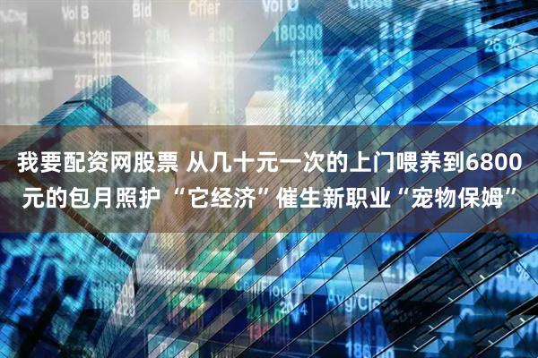 我要配资网股票 从几十元一次的上门喂养到6800元的包月照护 “它经济”催生新职业“宠物保姆”