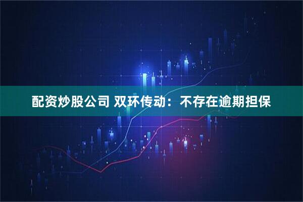配资炒股公司 双环传动：不存在逾期担保